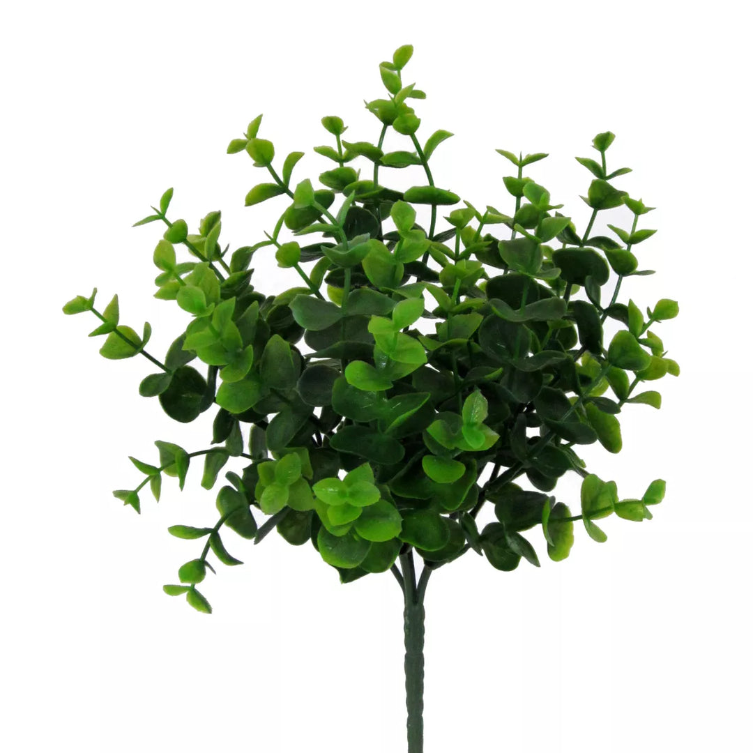 Flourify Eukalyptus bos