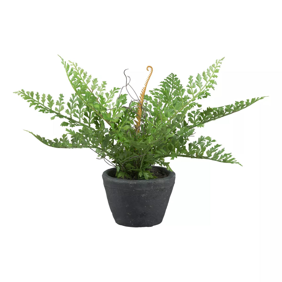 Flourify Varen
