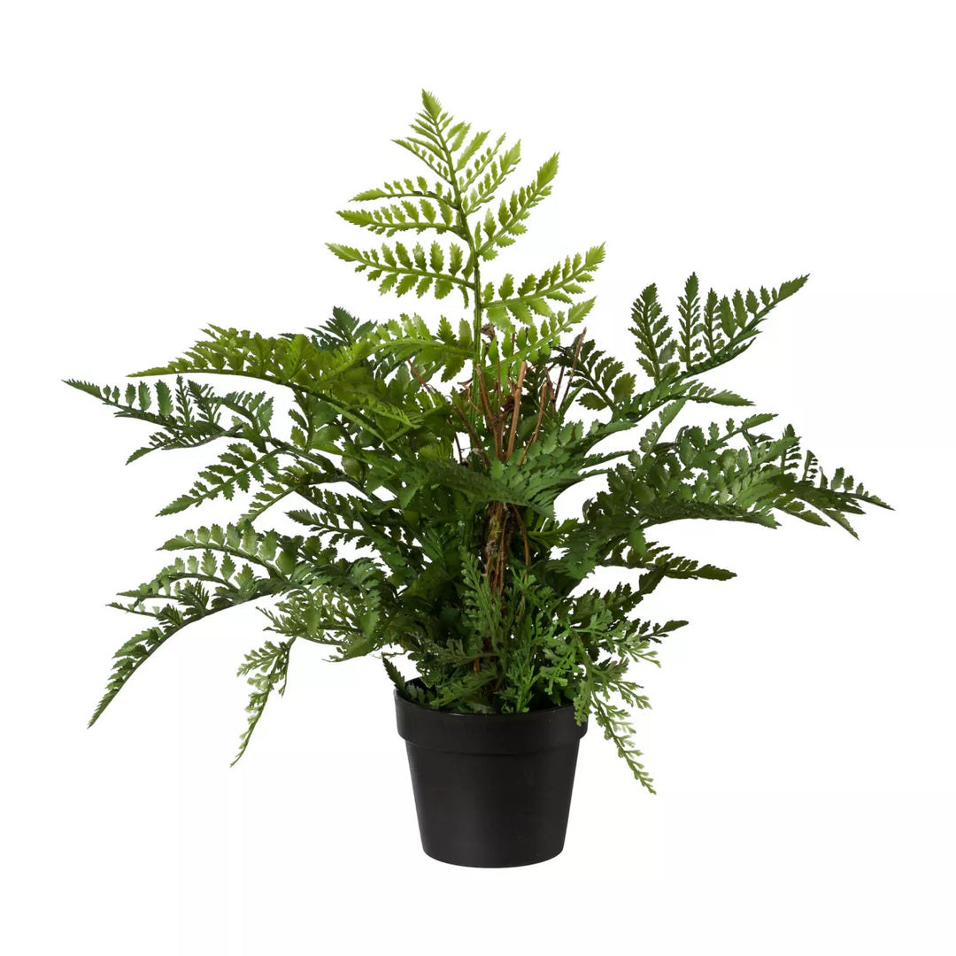 Flourify Varen
