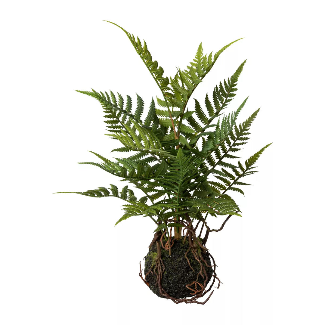 Flourify Varen