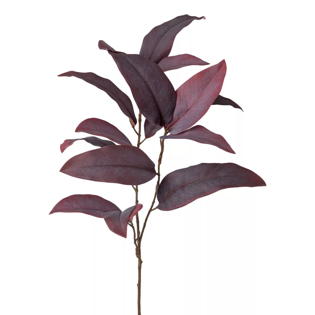 Flourify Eukalyptus tak