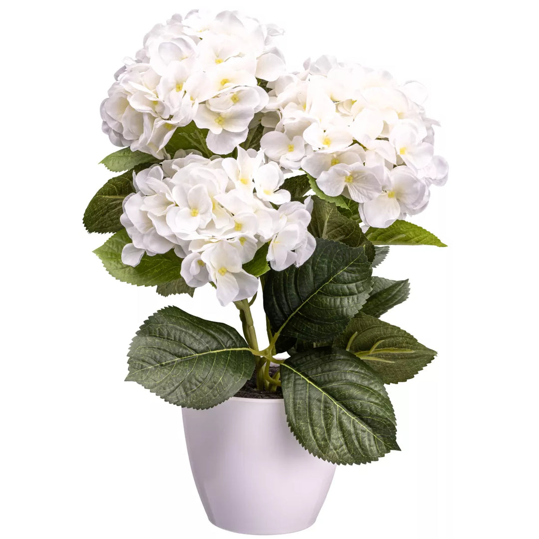 Flourify Hortensia bos
