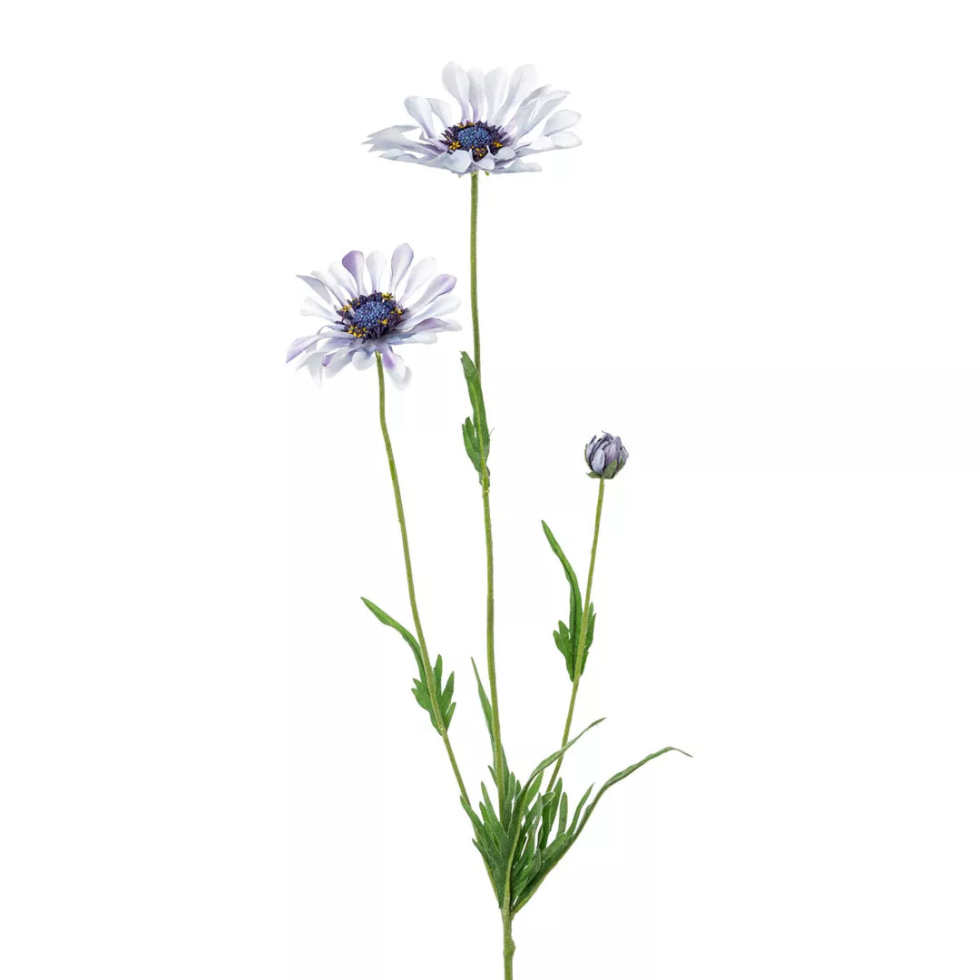 Flourify Margriet