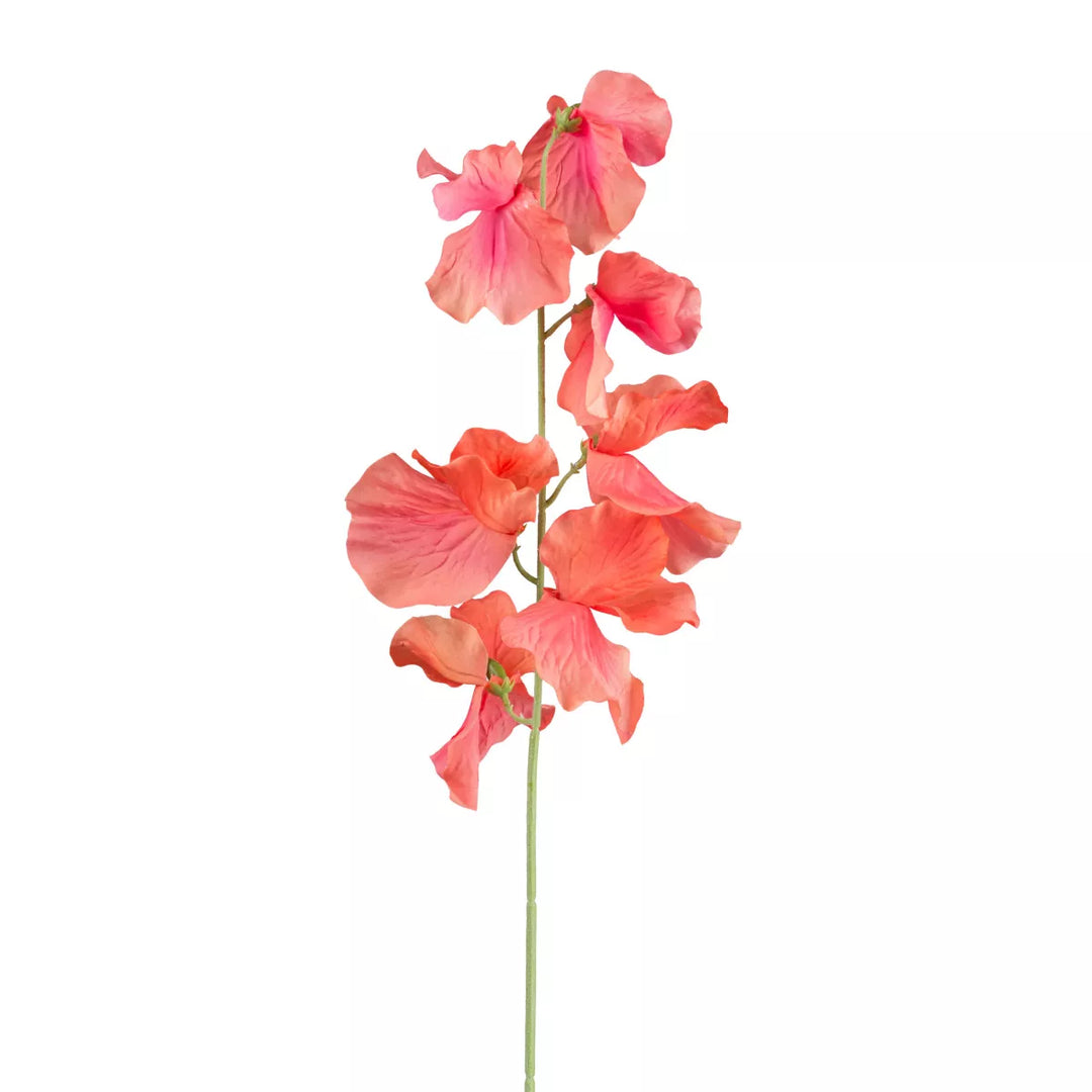 Flourify Wikke