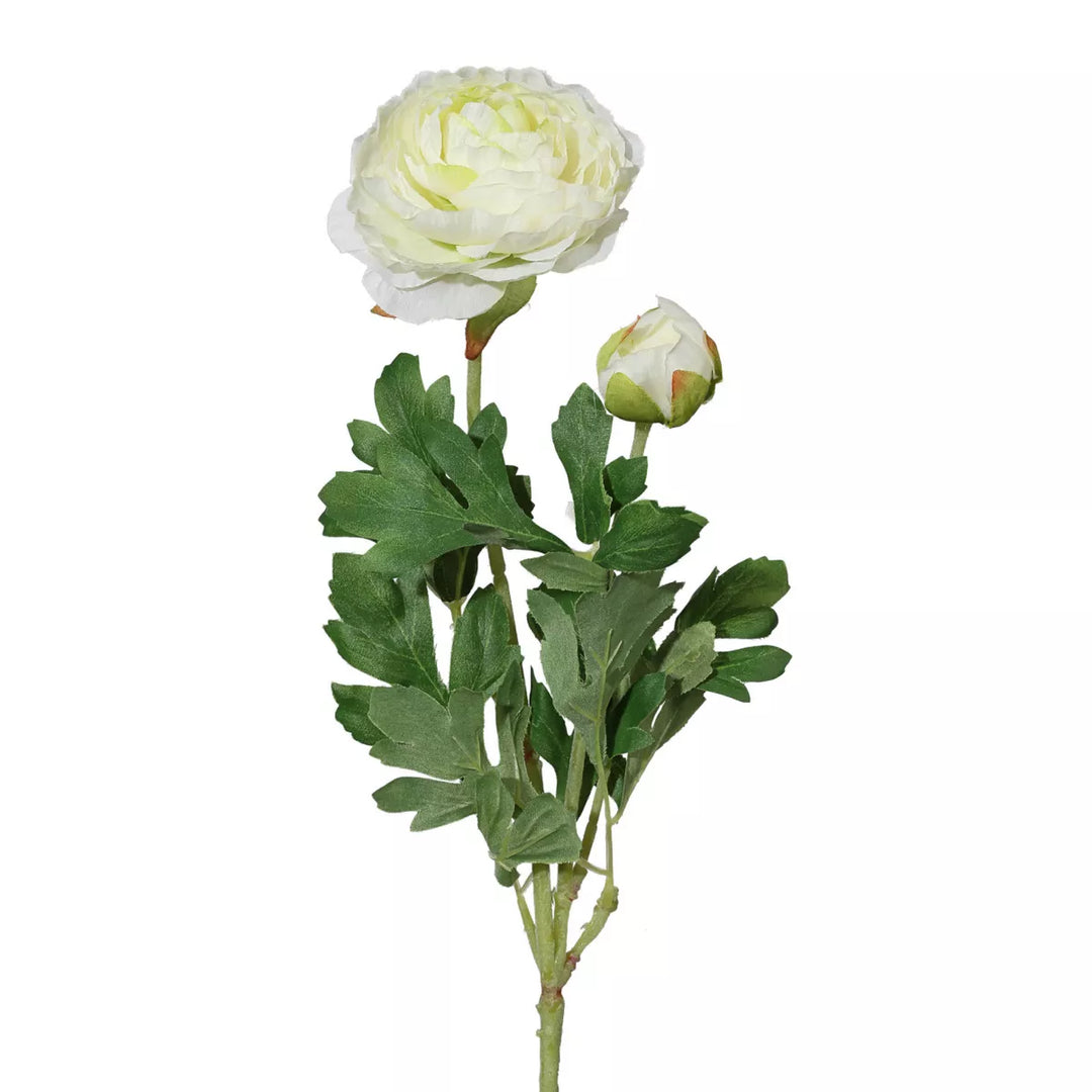 Flourify Ranunkel (boterbloem)