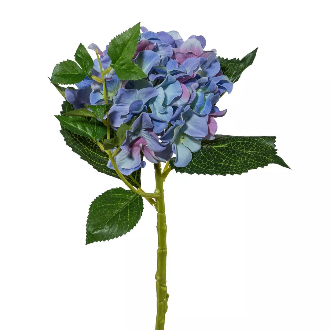 Flourify Hortenisa