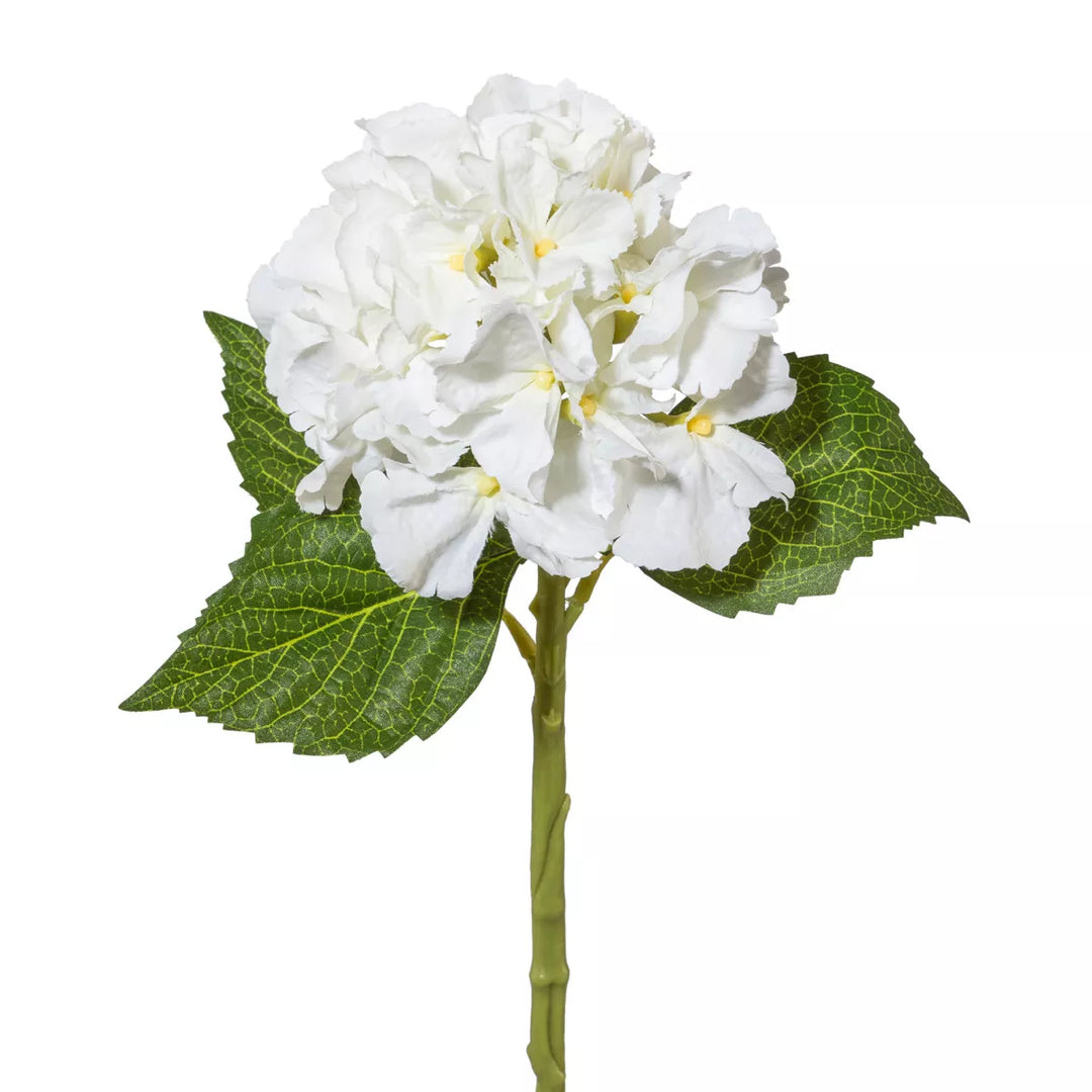 Flourify Hortensia