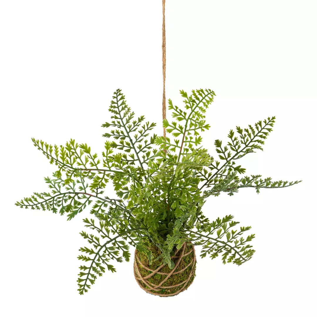 Flourify Koningvaren