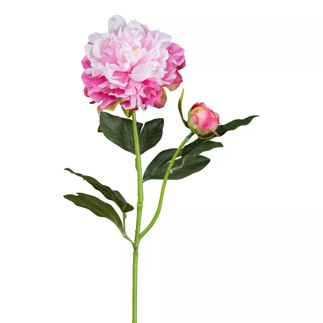 Flourify Pioenroos