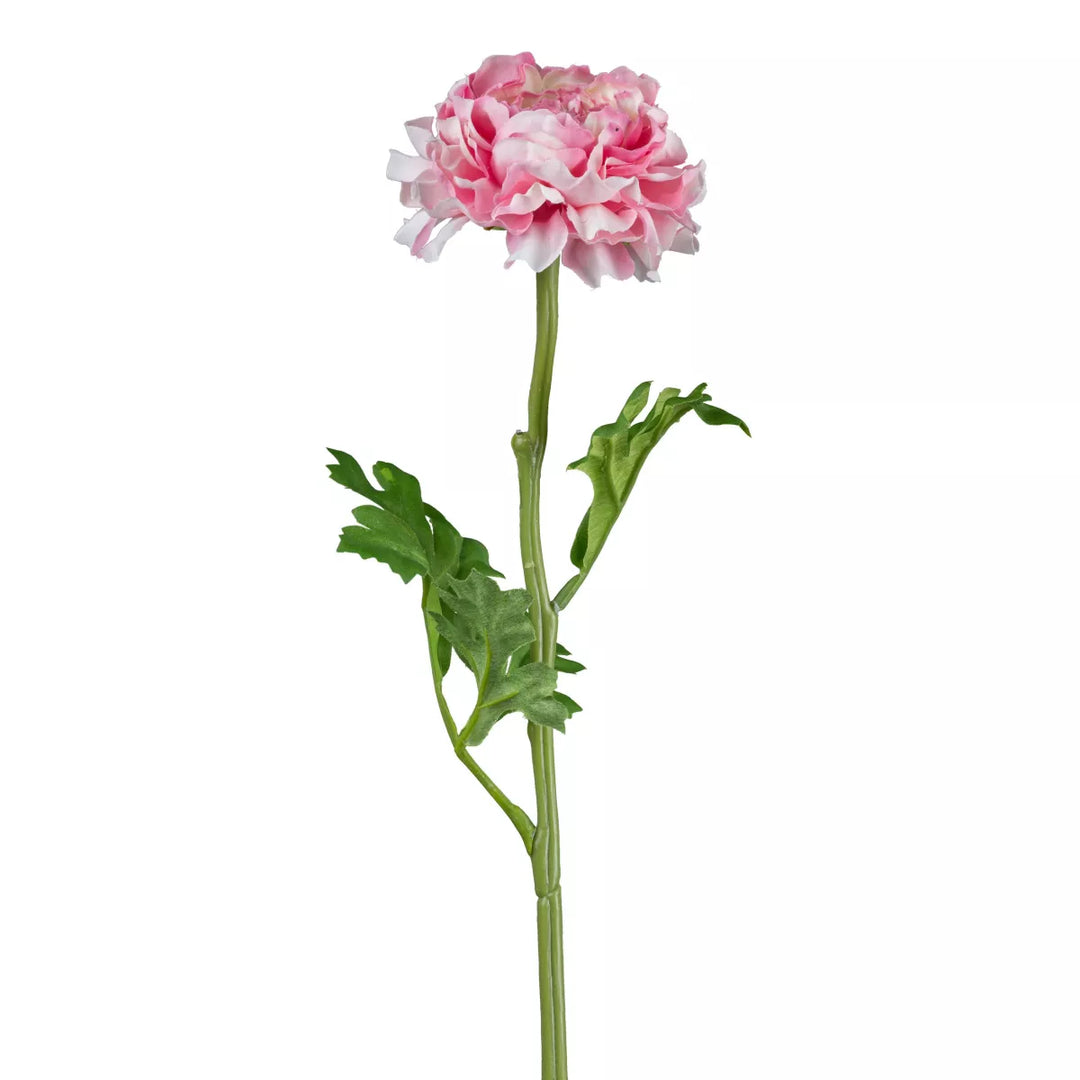 Flourify Ranunculus (Ranonkel/boterbloem)