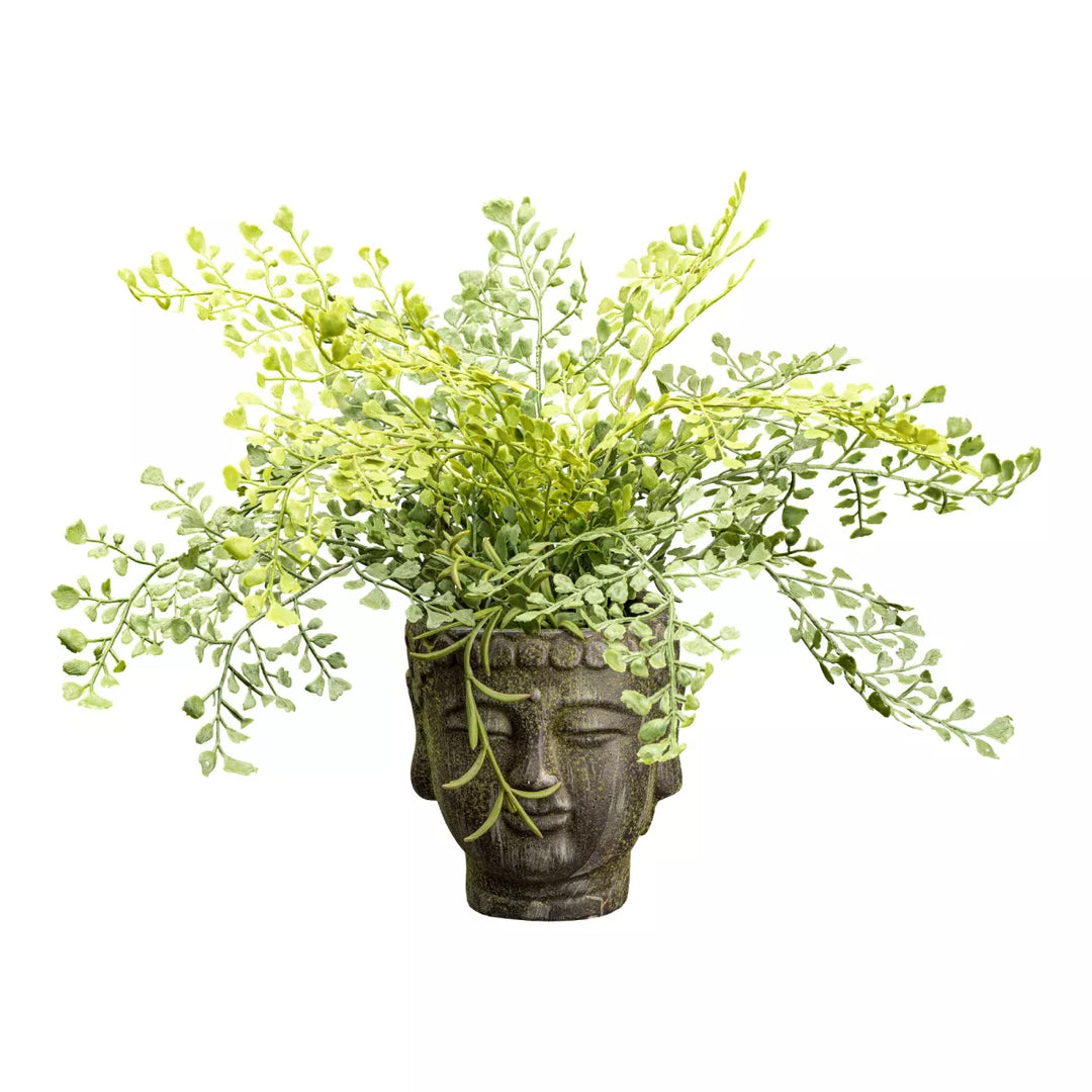 Flourify Adiantumstruik (venushaar)