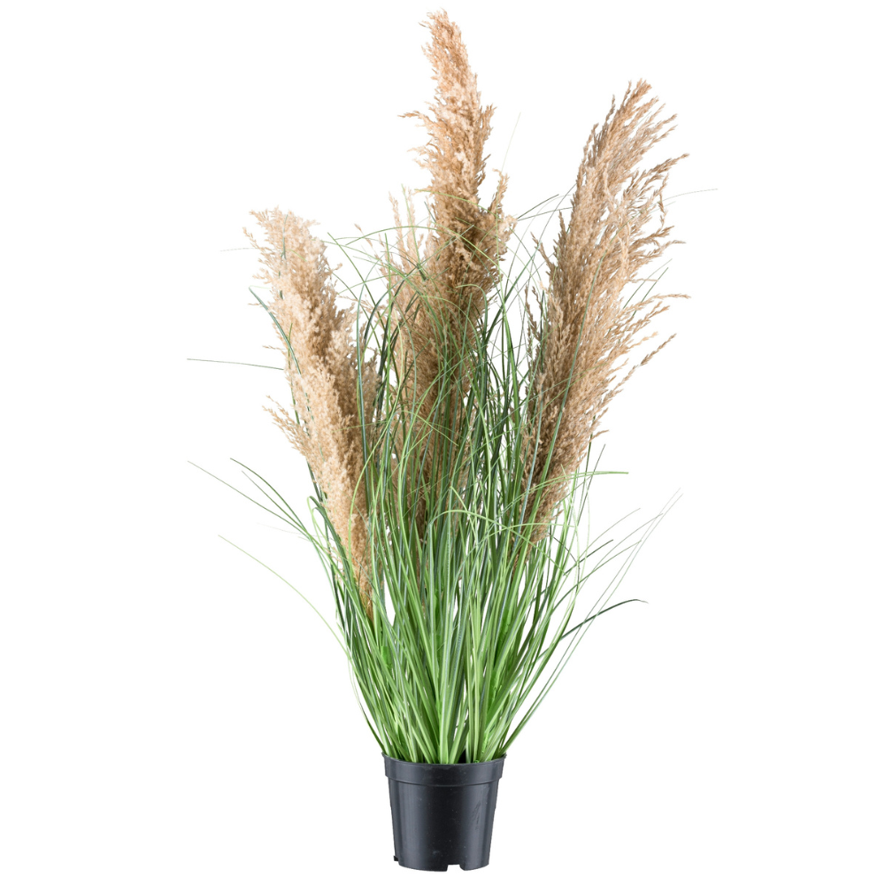 Kunstrasen Silberpflanze 75 cm