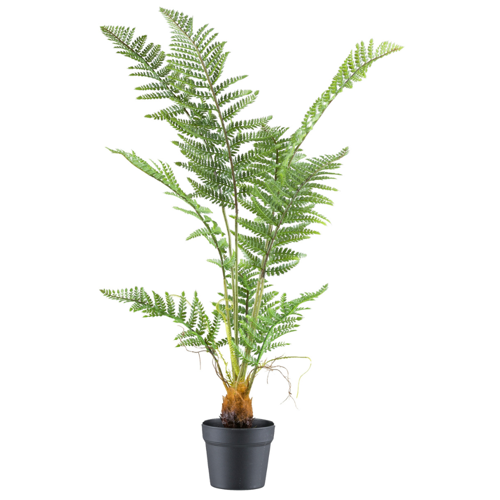 Pteris tremula varen kunstplant 100 cm
