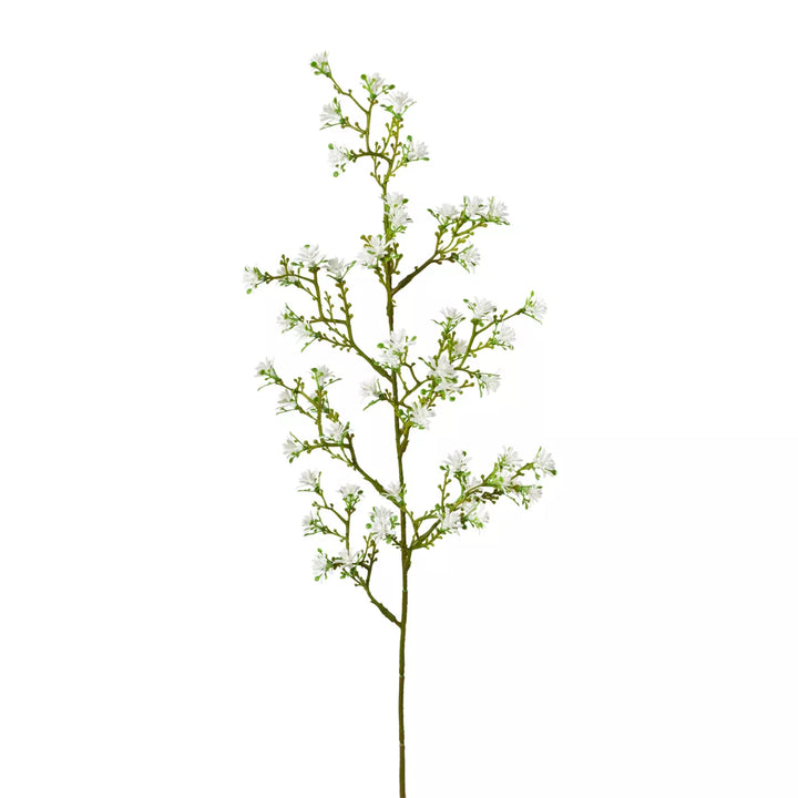 Flourify Sterbloemen tak