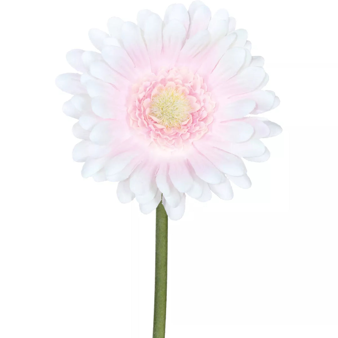 Flourify Gerbera