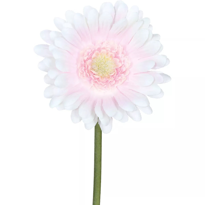 Flourify Gerbera