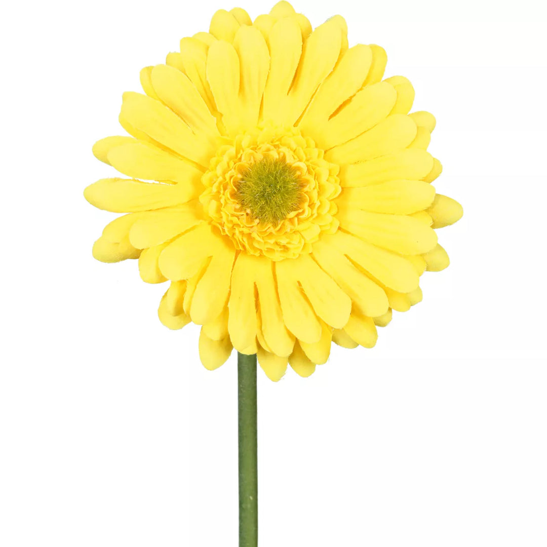 Flourify Gerbera