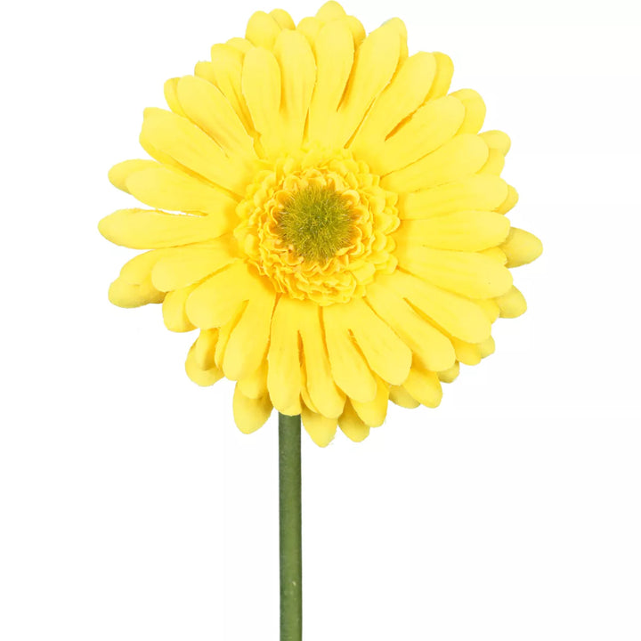 Flourify Gerbera