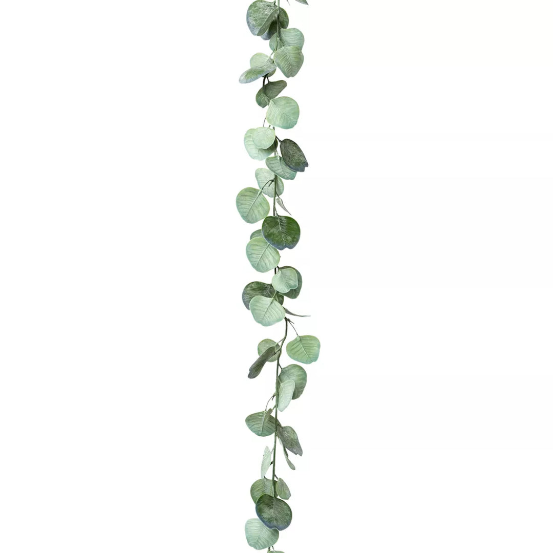 Flourify Eucalyptus guirlande, (hangplant)
