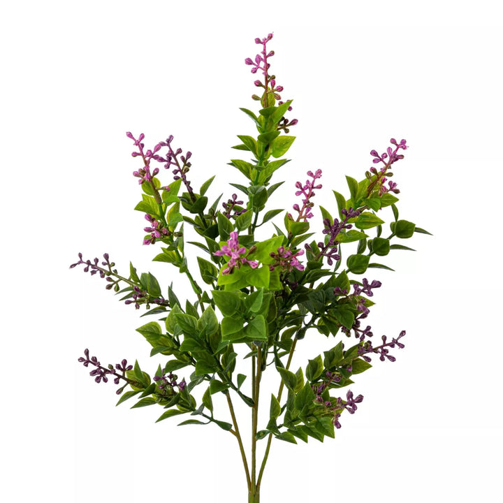 Flourify Bladstruik 