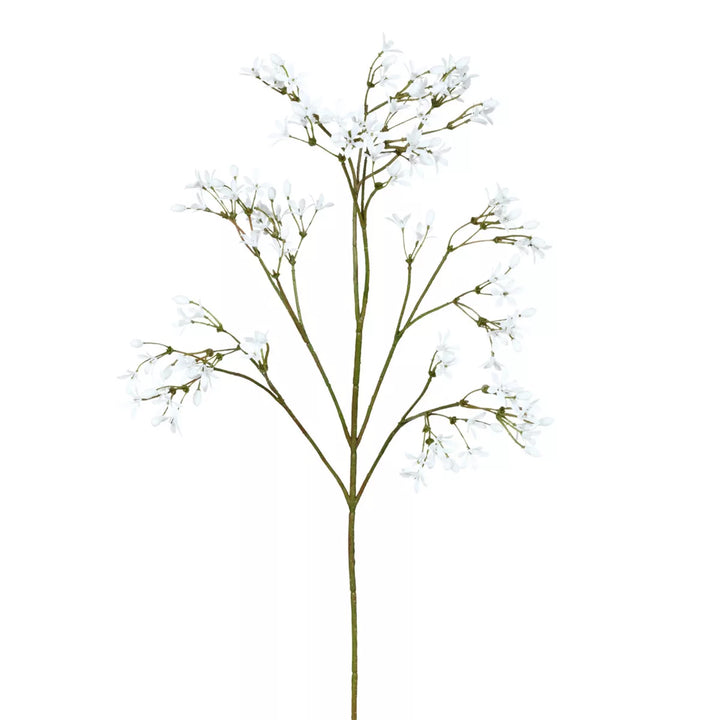 Flourify Jasmijntak