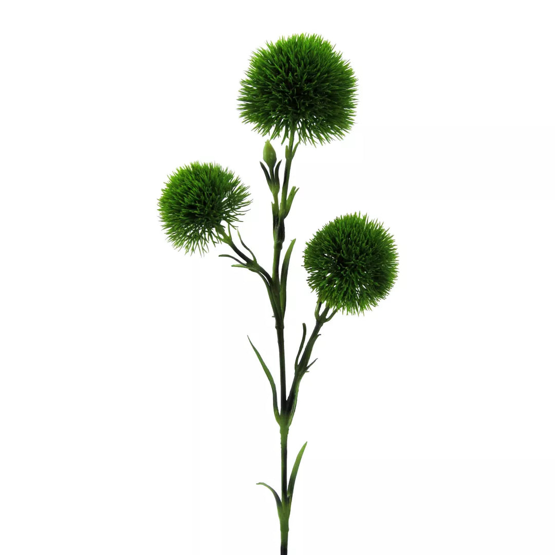 Flourify Anjer (dianthus tak)