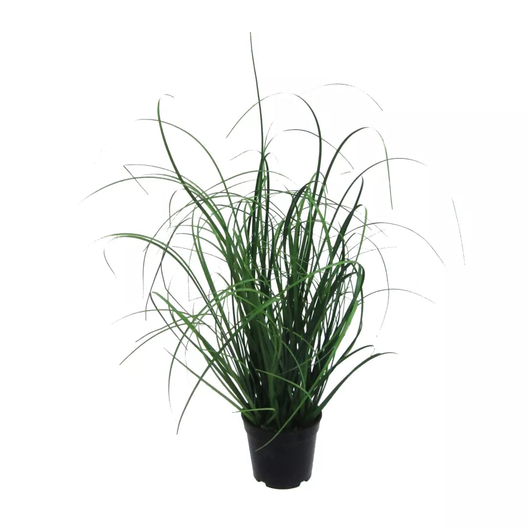 Flourify Grasbos