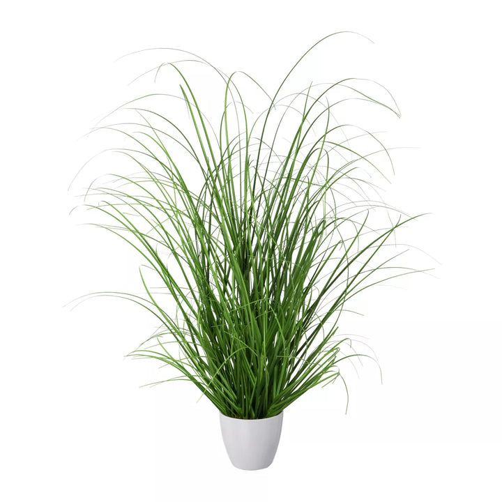 Flourify Grasbos