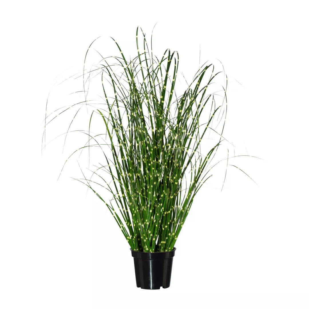 Flourify Prachtgriet