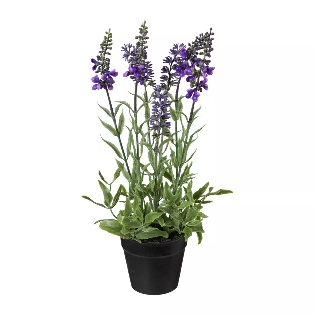 Flourify Lavendel