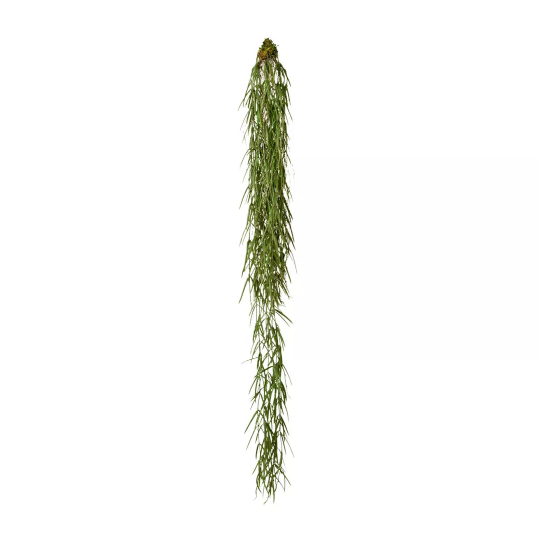 Flourify Hoyahanger (hangplant)