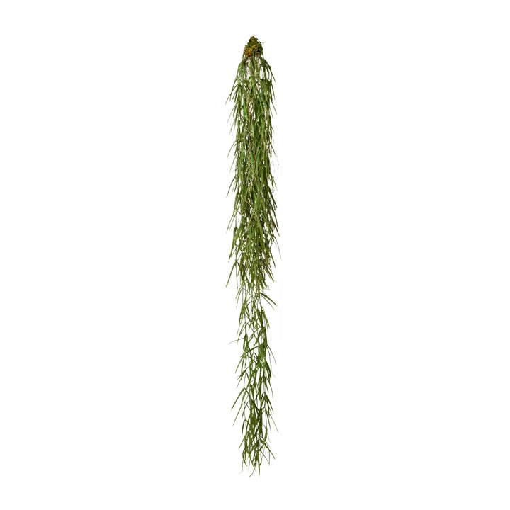 Flourify Hoyahanger (hangplant)
