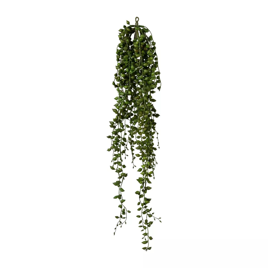 Flourify Seneciohanger (hangplant),