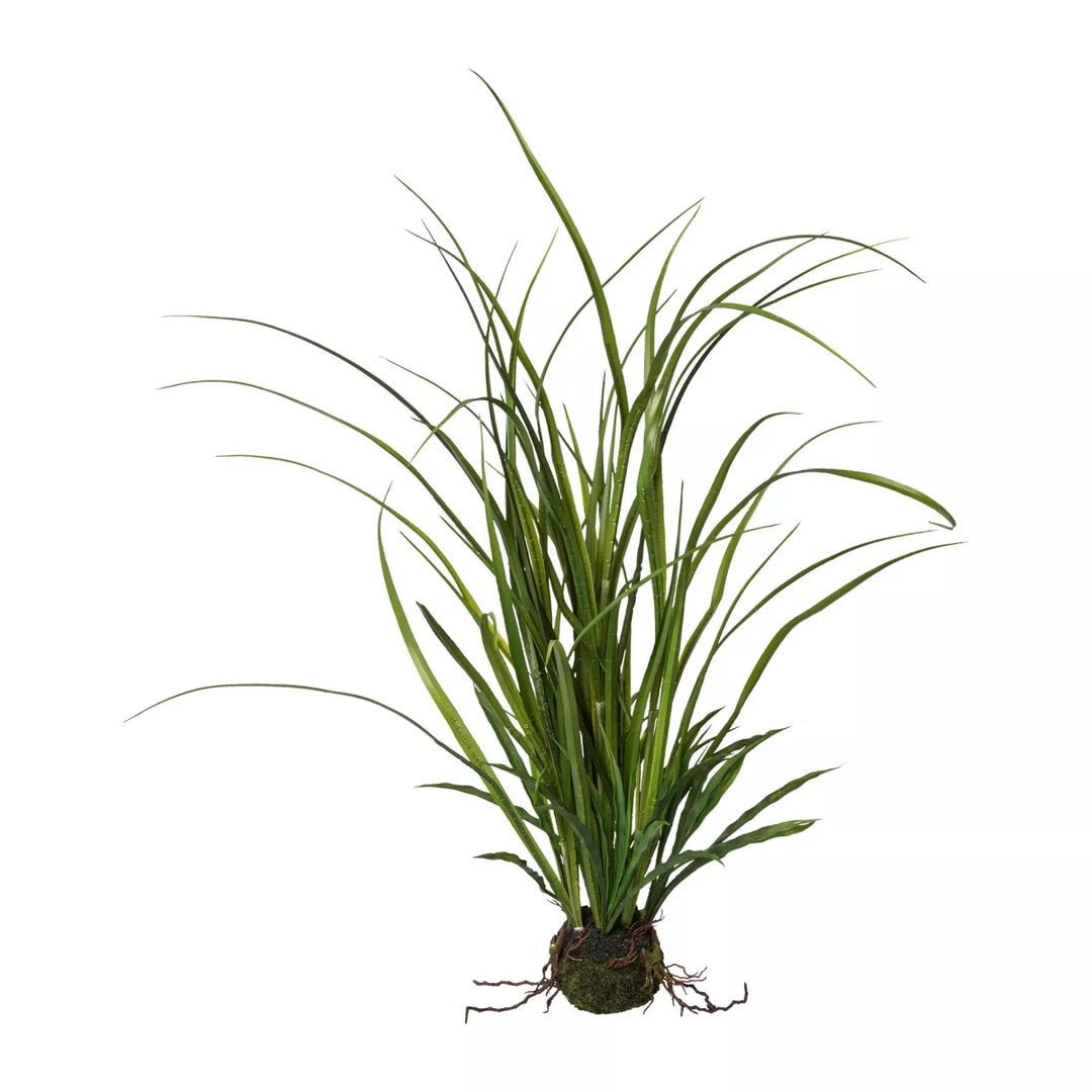 Flourify Weidegras