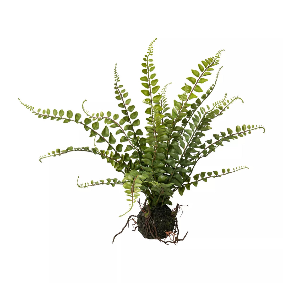 Flourify Varen