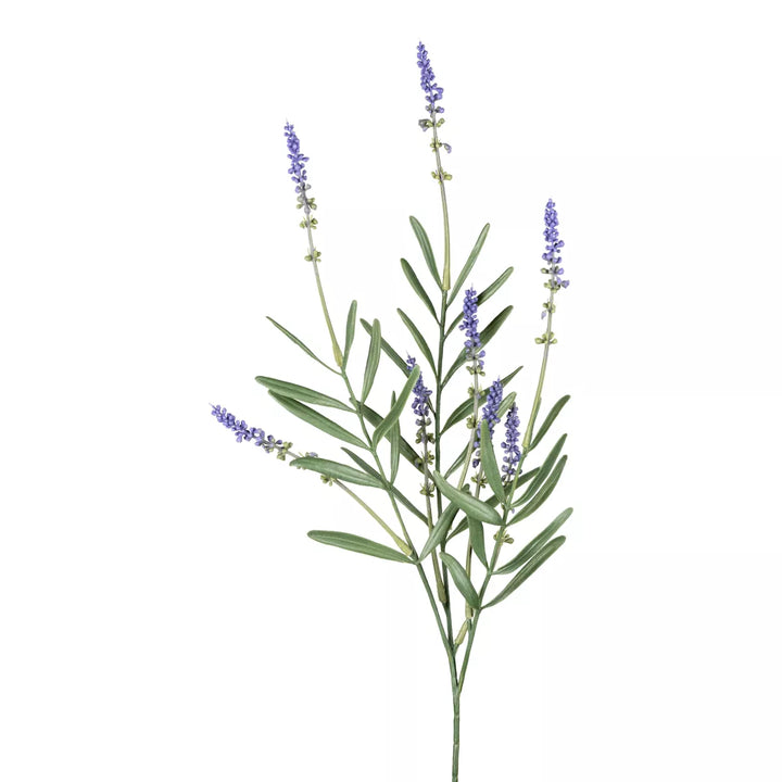 Flourify Lavendel bos