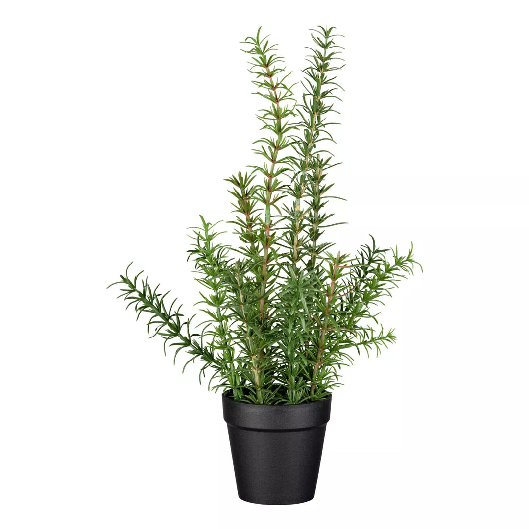 Flourify Rozemarijn
