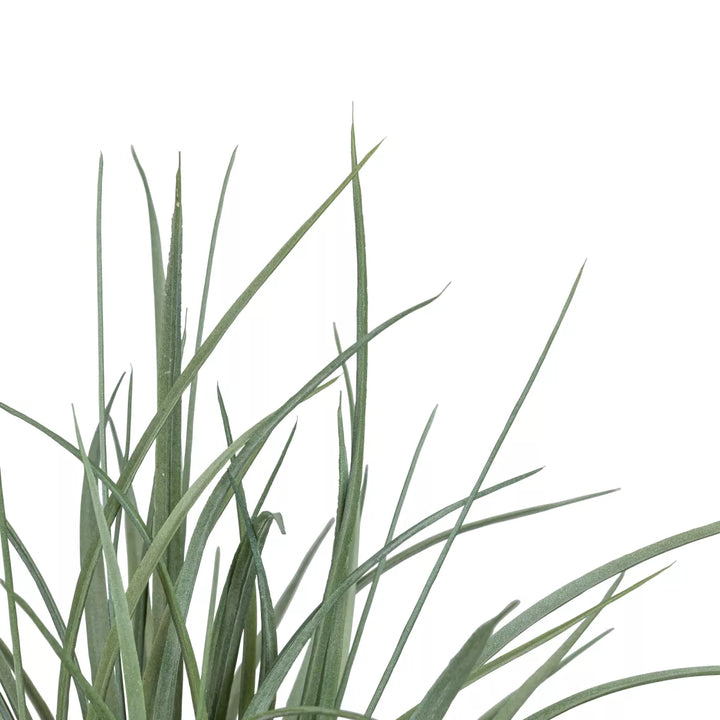Flourify Siergras