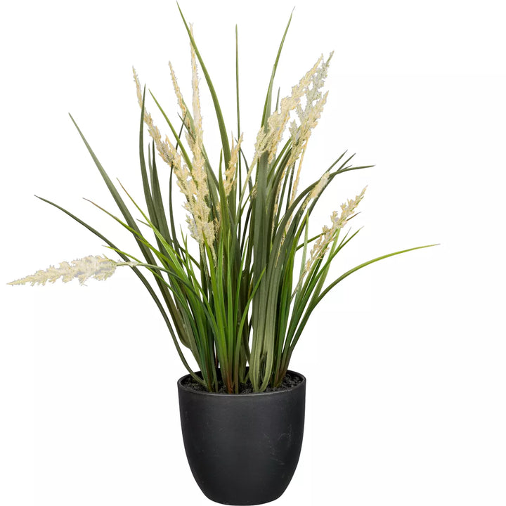 Flourify Siergras
