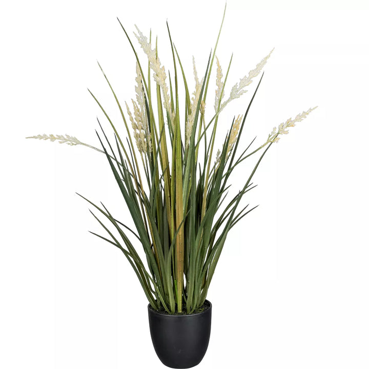 Flourify Siergeas