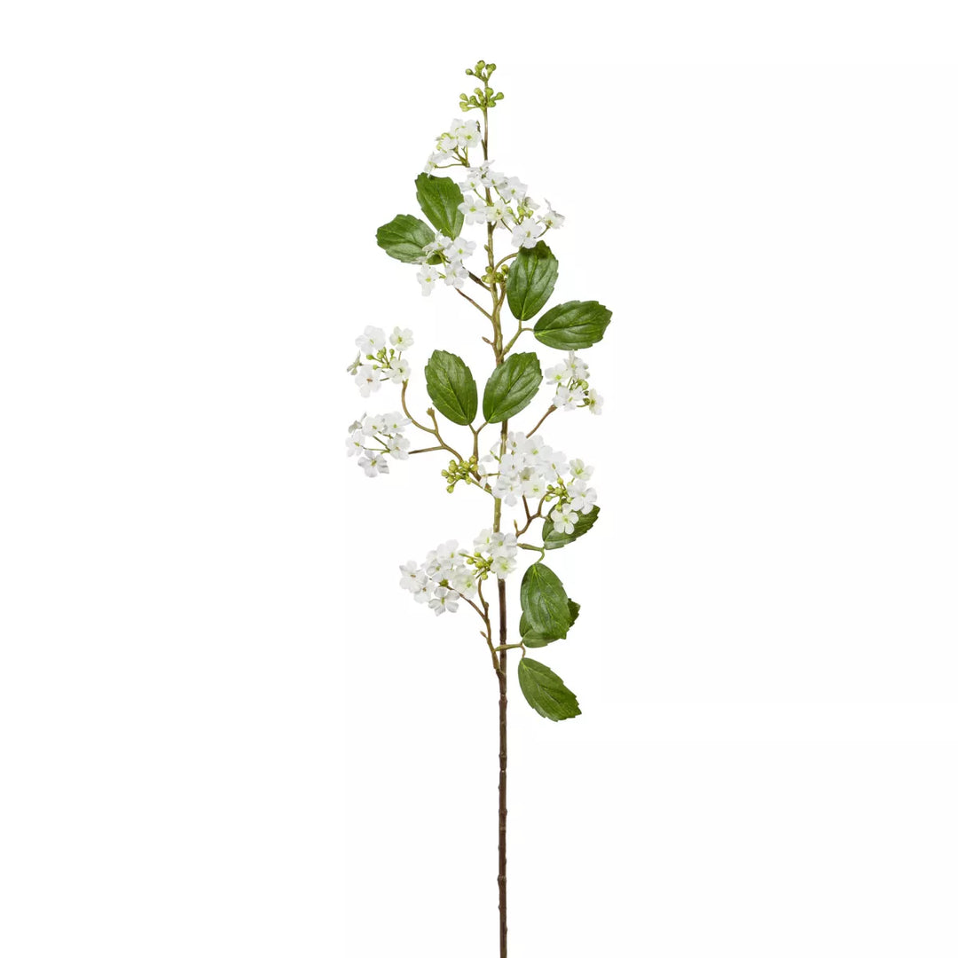 Flourify Viburnum(sneeuwbal) 