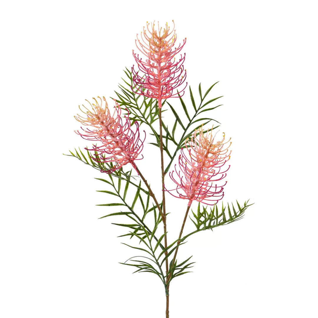 Flourify Grevillea tak