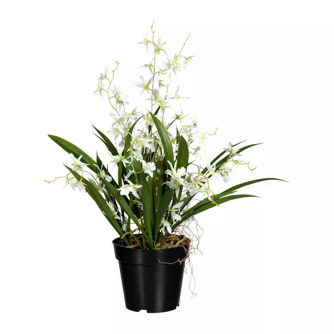 Flourify Oncydium kunstplant. 60 cm