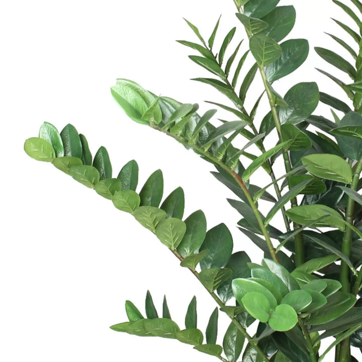 Flourify Zamioculcas (kamerpalm)