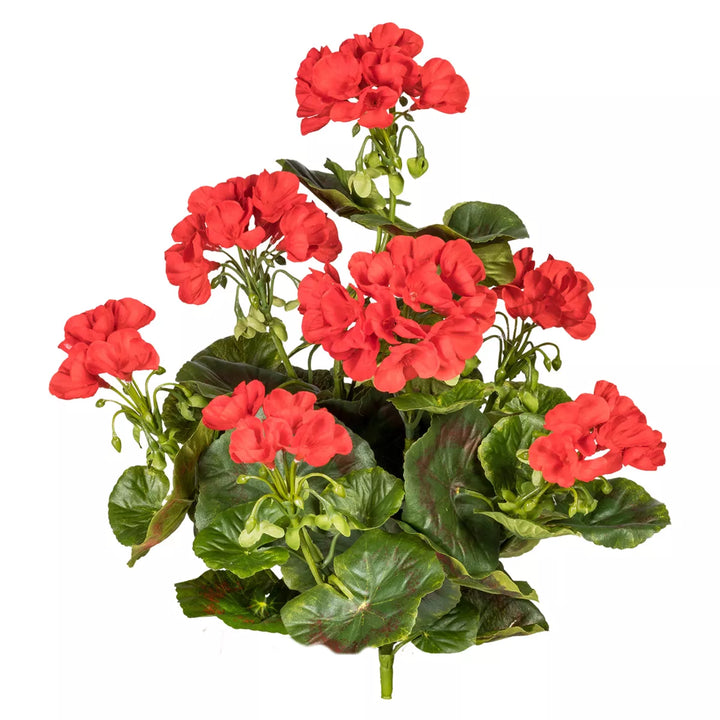 Flourify Geranium bos