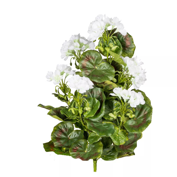 Flourify Geranium bos