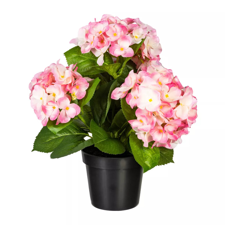Flourify Hortensia bos