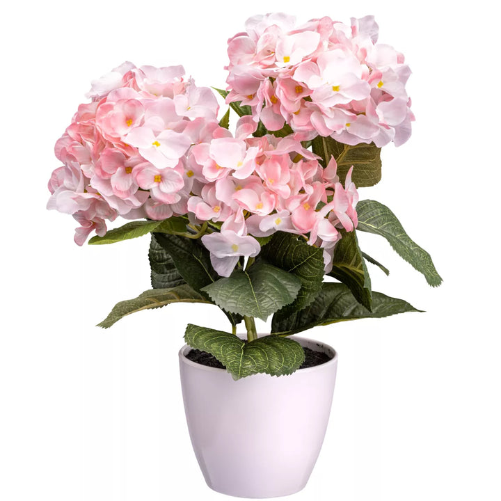 Flourify Hortensia bos