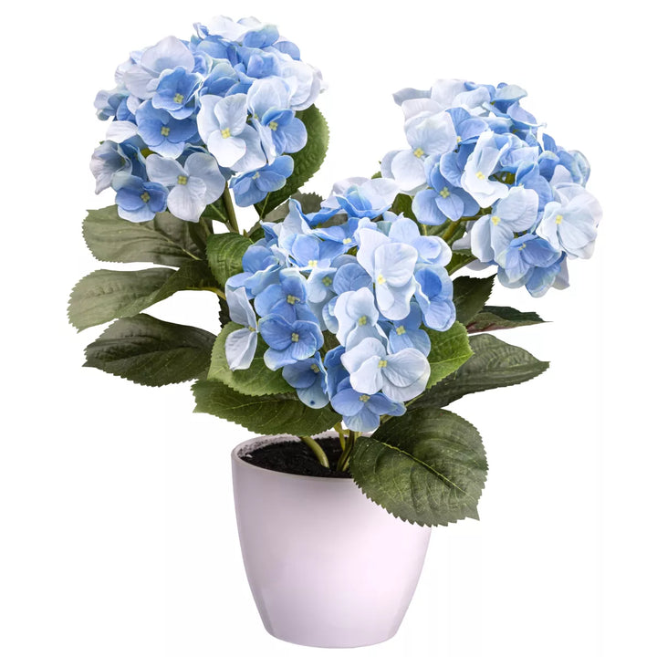 Flourify Hortensia bos