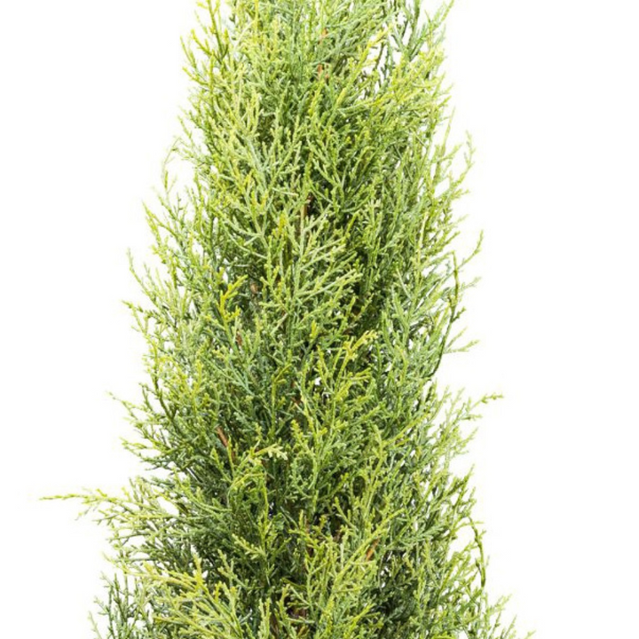 Thuja Smaragd Kunstpflanze 150 cm
